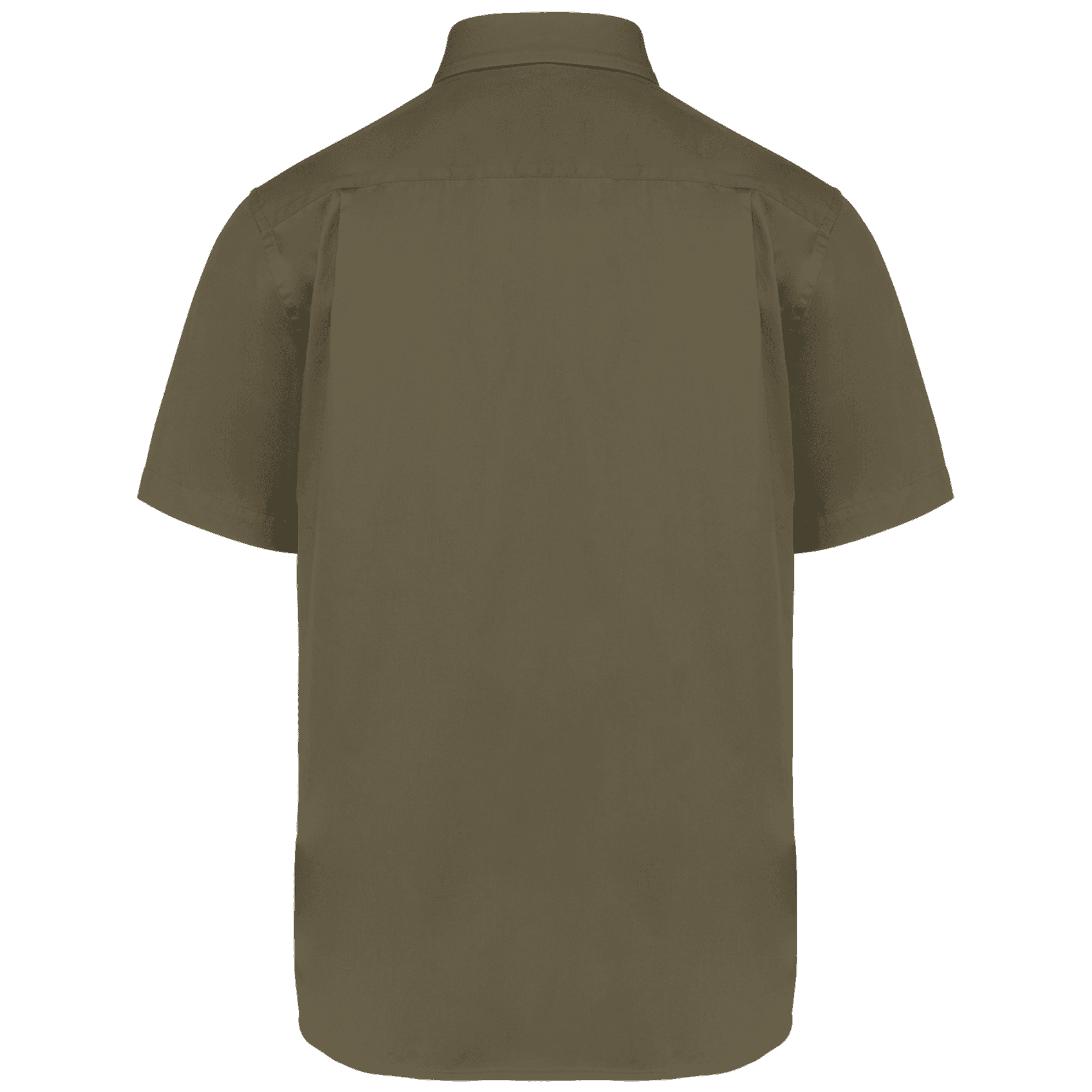 Light khaki