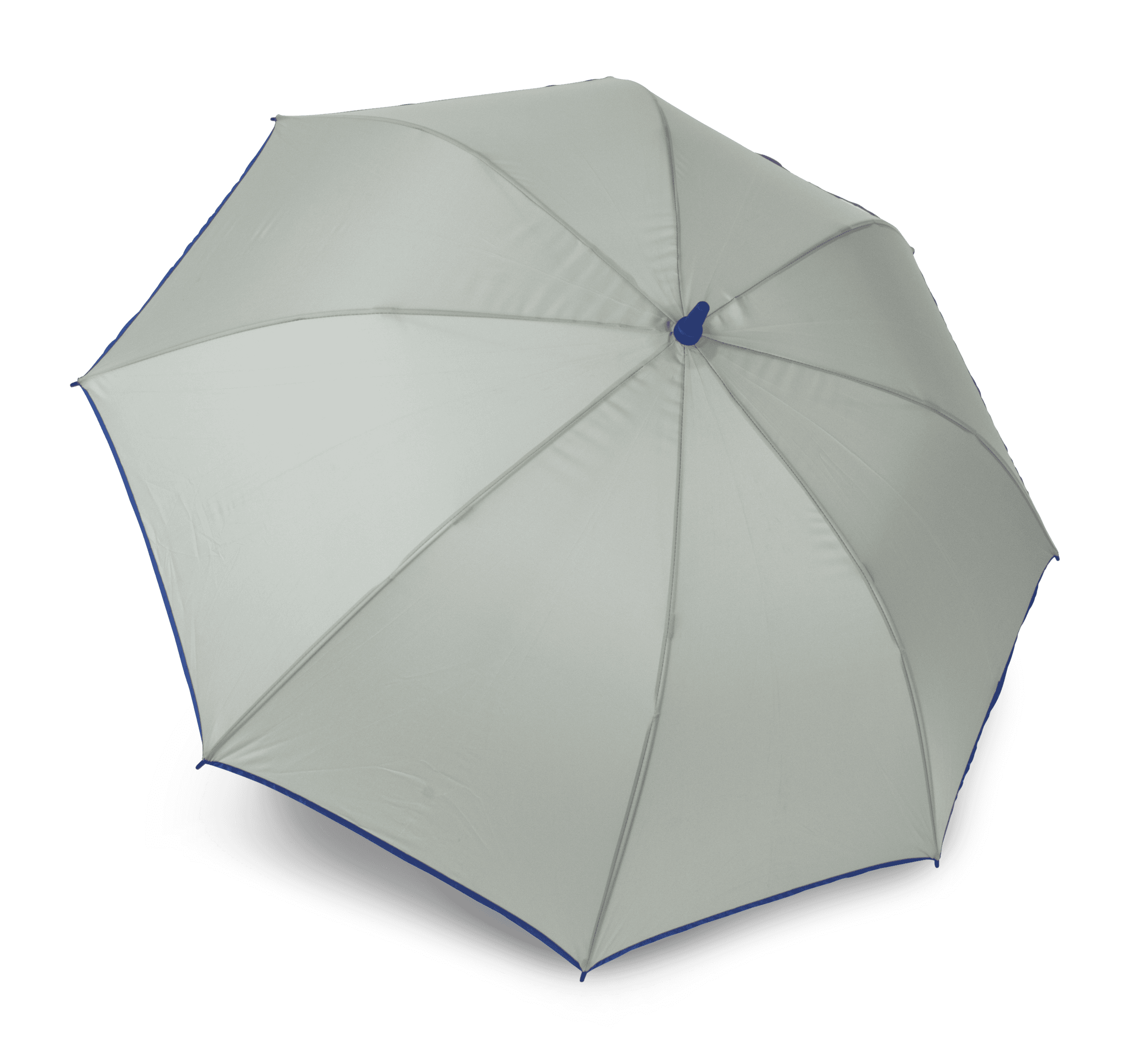 Storm Grey / Royal Blue