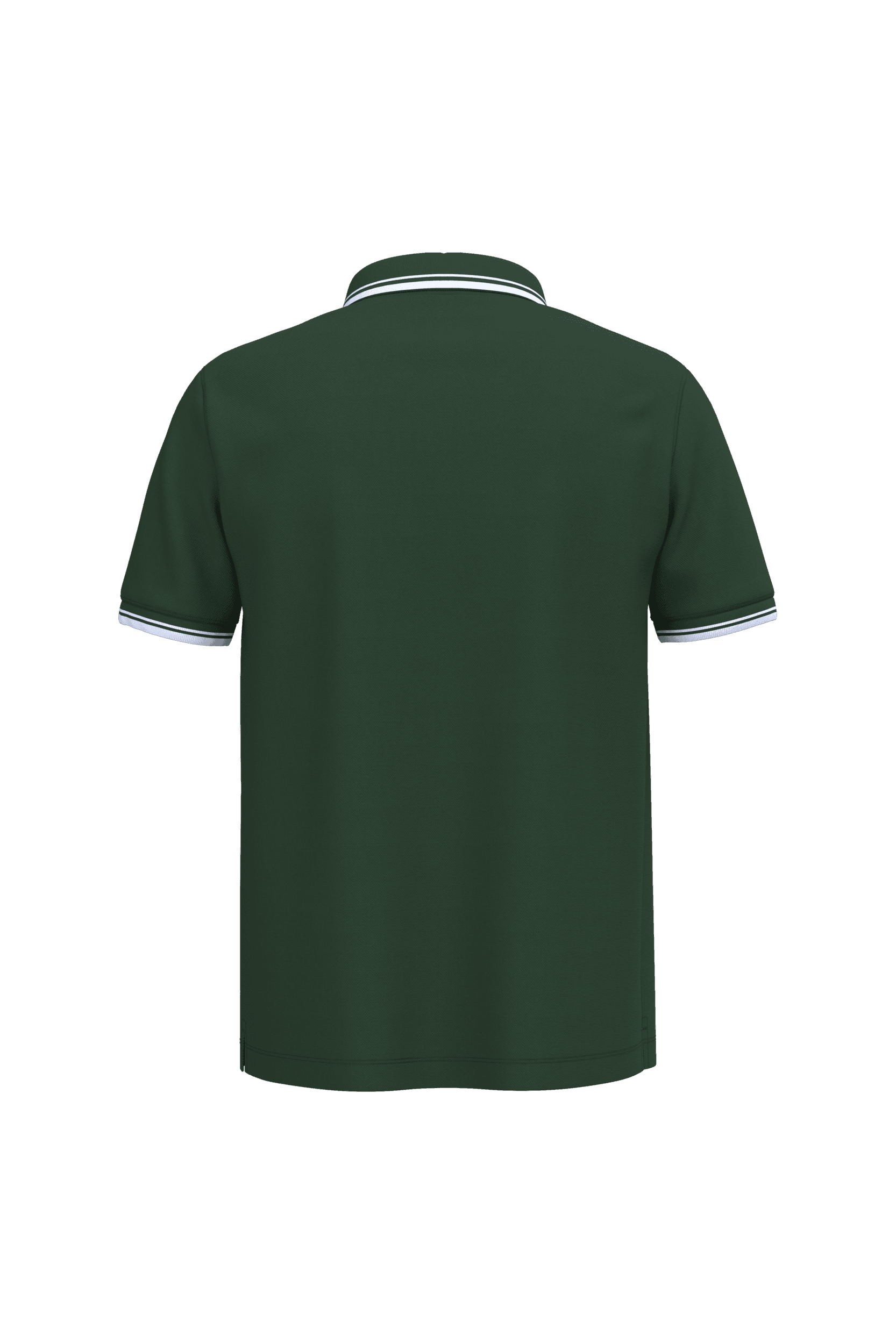 Forest Green / White